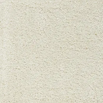 3' X 5' Ivory Shag Distressed Area Rug