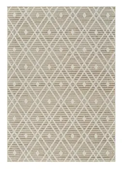 4' X 6' Cream and Brown Geometric Distressed Indoor Outdoor Area Rug