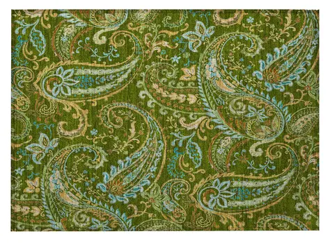 2' X 3' Green Paisley Washable Non Skid Indoor Outdoor Area Rug