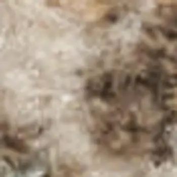 6' Beige and Ivory Floral Non Skid Runner Rug