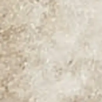 6' Beige and Ivory Floral Non Skid Runner Rug