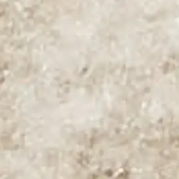 6' X 9' Beige and Ivory Floral Non Skid Area Rug