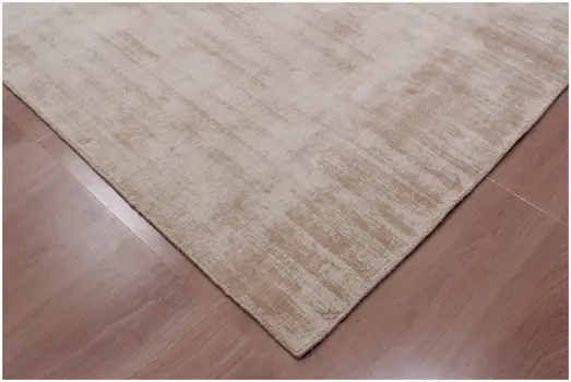 8' X 10' Champagne Hand Loomed Area Rug