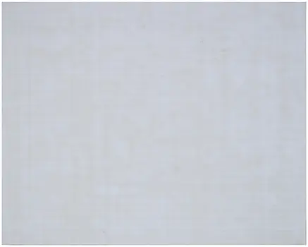 9' X 12' Ivory Hand Loomed Area Rug