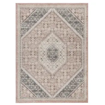 2' X 3' Pink and Cream Medallion Area Rug