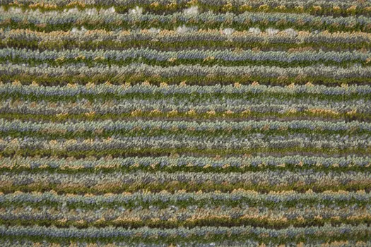 2' X 3' Tan and Green Power Loom Area Rug