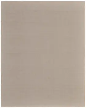 10' X 14' Ivory and Tan Hand Woven Area Rug