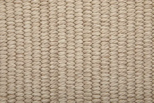 10' X 14' Ivory and Tan Hand Woven Area Rug