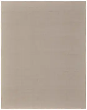 10' X 14' Ivory and Tan Hand Woven Area Rug