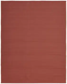 8' X 10' Red and Tan Hand Woven Area Rug