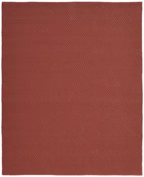 8' X 10' Red Hand Woven Area Rug