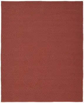 8' X 10' Red Hand Woven Area Rug