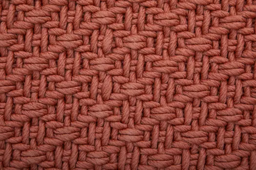 2' X 3' Red Hand Woven Area Rug