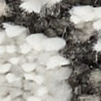 4' X 6' Gray Floral Power Loom Distressed Area Rug