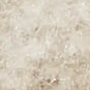 7' X 10' Beige Jute Hand Woven Area Rug