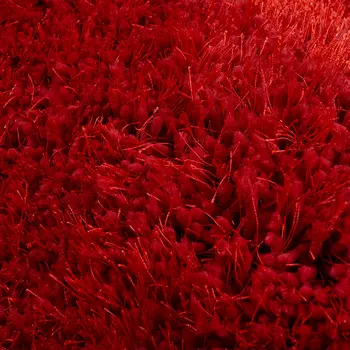 2' X 3' Red Shag Area Rug