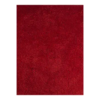 2' X 3' Red Shag Area Rug