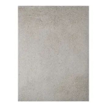 2' X 3' Off White Shag Area Rug
