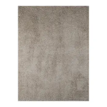 2' X 3' Champagne Shag Area Rug