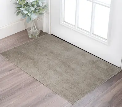 2' X 3' Champagne Shag Area Rug