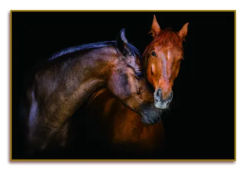 Black And Brown Two Horses Caressing Gold Framed Wall Art