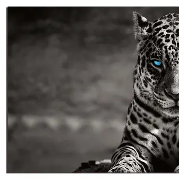 Black And White Blue Eyed Spotted Leopard Unframed Wall Art