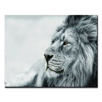 Black And White Lion Unframed Acrylic Wall Art