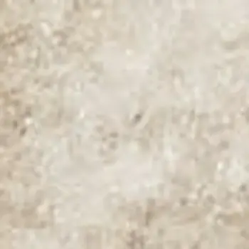 3' X 5' Beige and Ivory Floral Area Rug