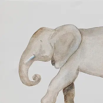 Elephant White Floater Frame Print Wall Art
