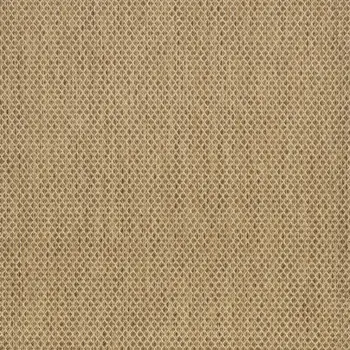 2' X 3' Natural And Tan Geometric Indoor Outdoor Area Rug