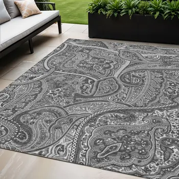 5' X 8' Gray Silver And Charcoal Paisley Washable Indoor Outdoor Area Rug