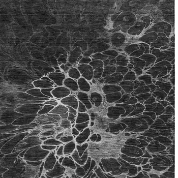 8' X 10' Charcoal Gray And Silver Abstract Washable Indoor Outdoor Area Rug