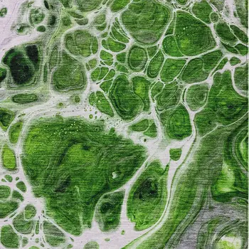 5' X 8' Lime Green And Gray Nautical Washable Indoor Outdoor Area Rug