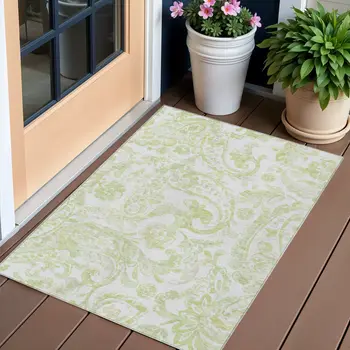 3' X 5' Sage Green And Ivory Paisley Washable Indoor Outdoor Area Rug