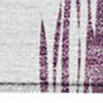 3' X 5' Purple Plum And Ivory Ikat Washable Indoor Outdoor Area Rug