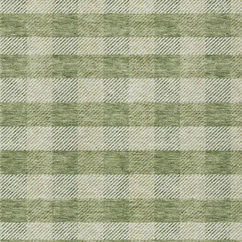 3' X 5' Green And Light Green Plaid Washable Indoor Outdoor Area Rug