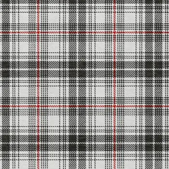 10' X 14' Black Ivory And Red Plaid Washable Indoor Outdoor Area Rug