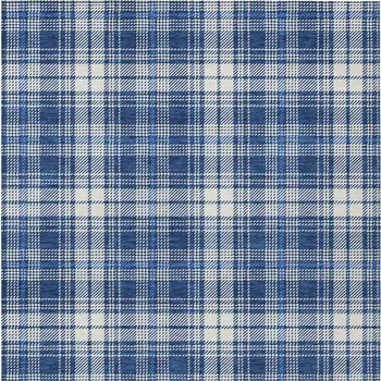 3' X 5' Navy Blue And Ivory Plaid Washable Indoor Outdoor Area Rug