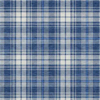 5' X 8' Navy Blue And Ivory Plaid Washable Indoor Outdoor Area Rug