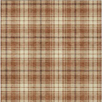 3' X 5' Brown Black And Beige Plaid Washable Indoor Outdoor Area Rug