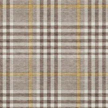 3' X 5' Brown And Beige Plaid Washable Indoor Outdoor Area Rug