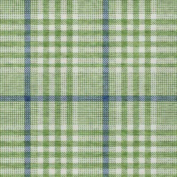 5' X 8' Green And Ivory Plaid Washable Indoor Outdoor Area Rug