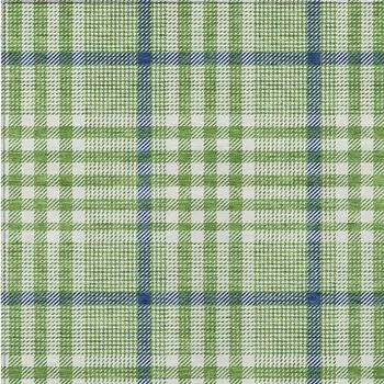 8' X 10' Green And Ivory Plaid Washable Indoor Outdoor Area Rug
