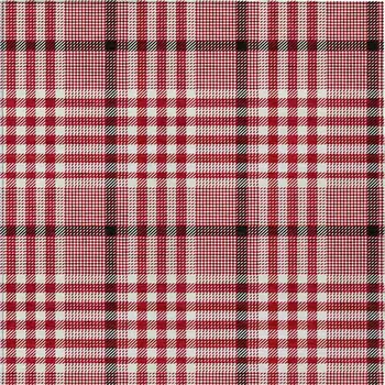 8' X 10' Red Black And Ivory Plaid Washable Indoor Outdoor Area Rug