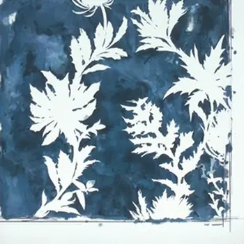 Set of Six N And A Natural Floater Frame Wall Art