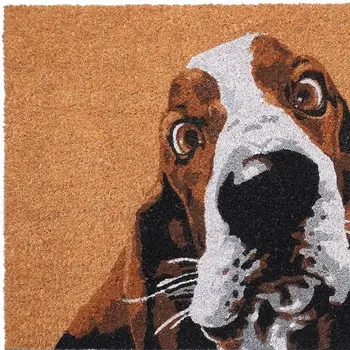 17" X 29" Natural And Red Coir Dog Outdoor Door Mat