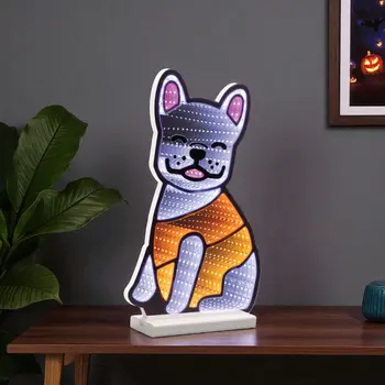 16" White And Orange Acrylic Dog Figurine with LED
