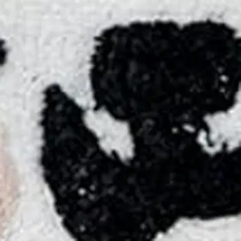 2' X 3' Black And White Kitty Cat Youthful Washable Area Rug