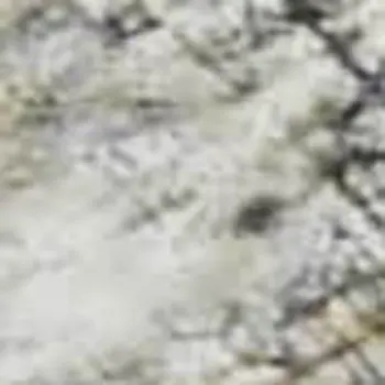 9' X 12' Ivory And Beige Abstract Washable Area Rug With UV Protection