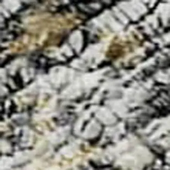 9' X 12' Midnight Ivory And Beige Abstract Washable Area Rug With UV Protection